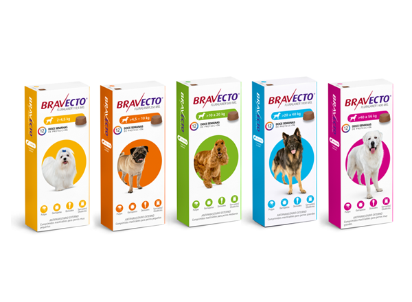 Bravecto®  Productos Veterinarios MSD Salud Animal Argentina