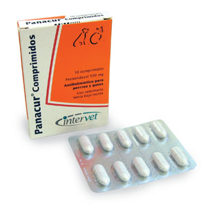 giardia panacur c)