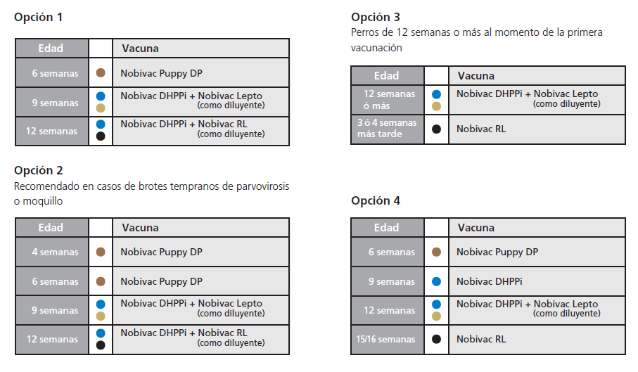 nobivac puppy dp vaccine