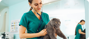 Descubre las especies que cuidamos