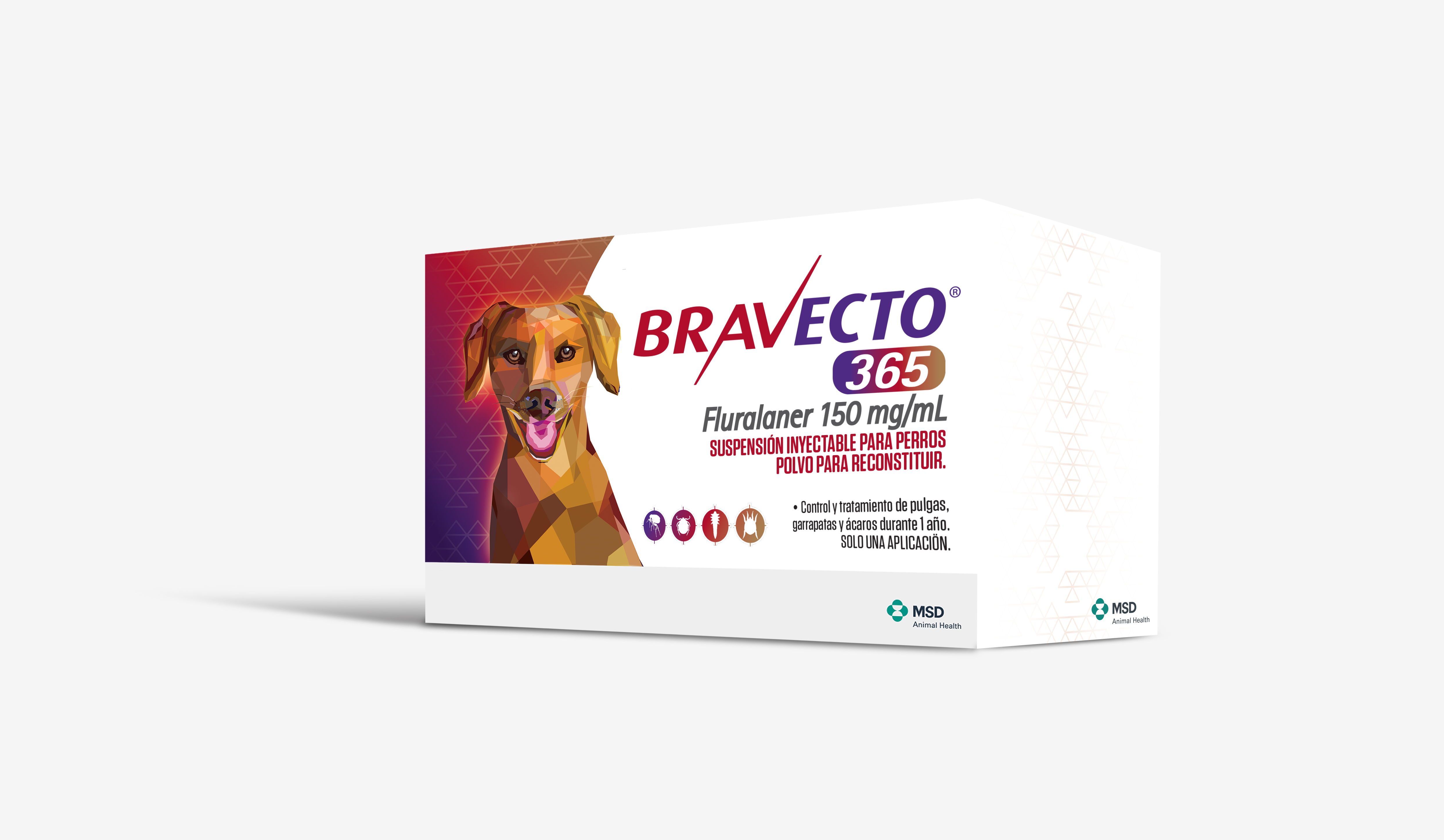 BRAVECTO® 365 - MSD Salud Animal Argentina